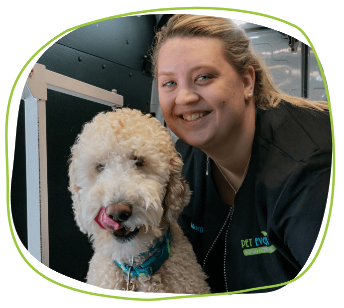 Dog smiles next to employee