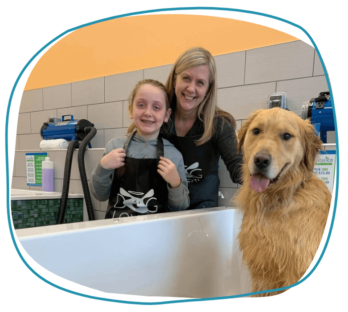 Dog in a bathtub after a dog wash