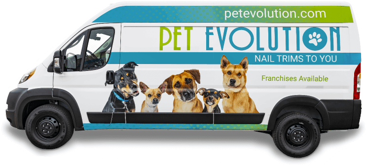 Mobile dog sales grooming nail clipping