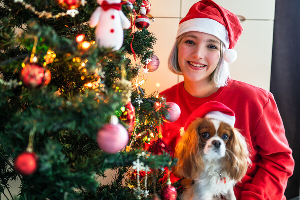 Best Holiday Photos With Your Pets
