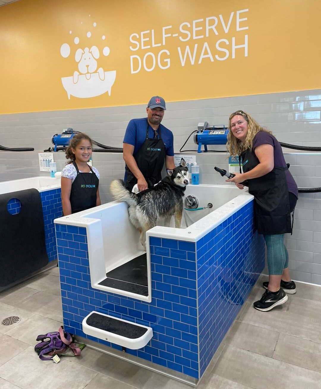 Pet Evolution Membership Unveiled Tailored for Pet Happiness