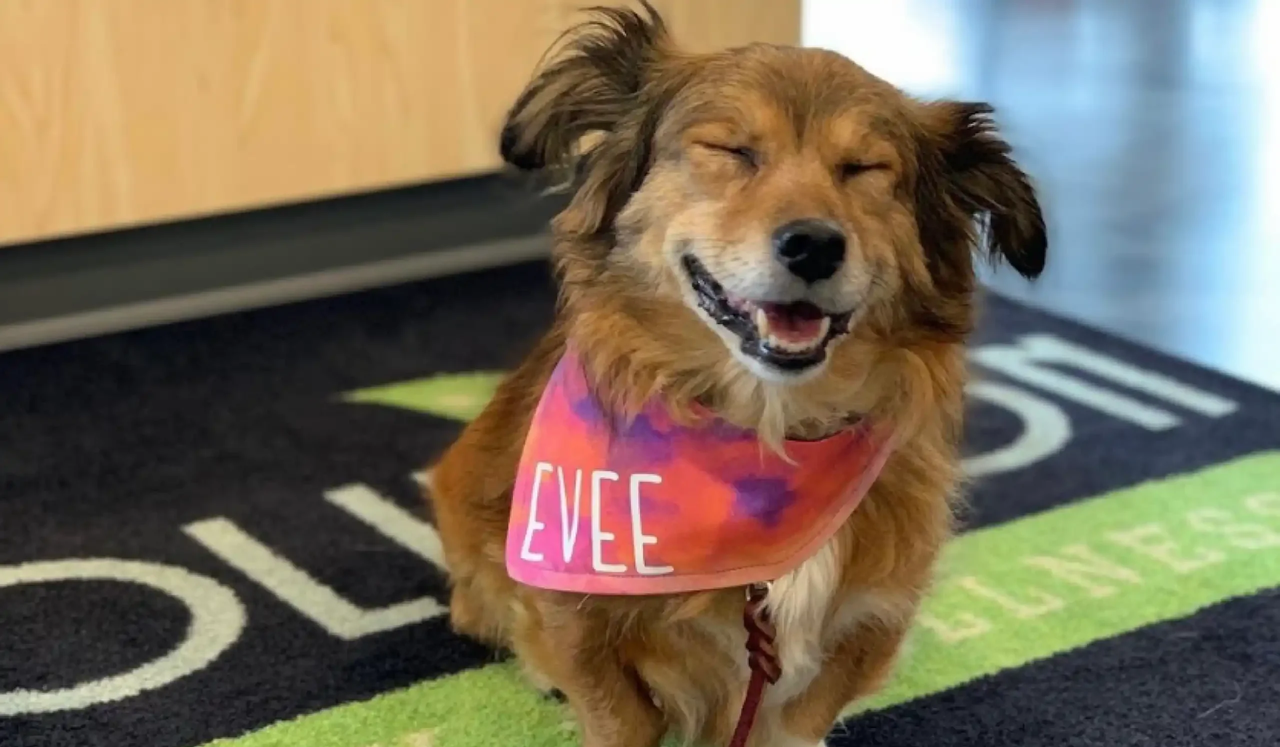 Our Good Life Membership