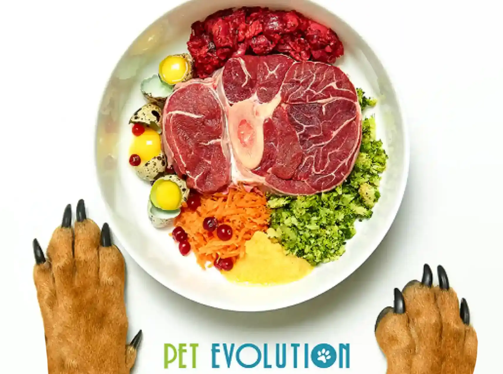 Benefits & Safety Tips of Raw Dog Food | Pet Evolution