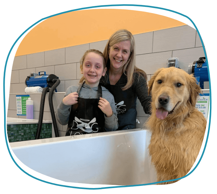 Dog Washing Services in Chanhassen, MN Pet Evolution
