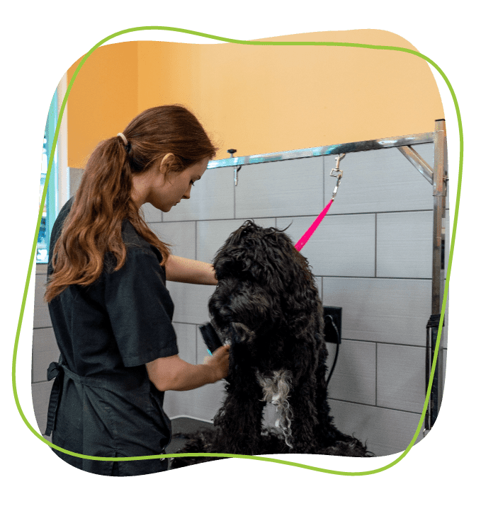 Employee washed dog in a tub