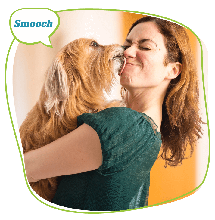 Dog Washing Services in St. Cloud, MN Pet Evolution