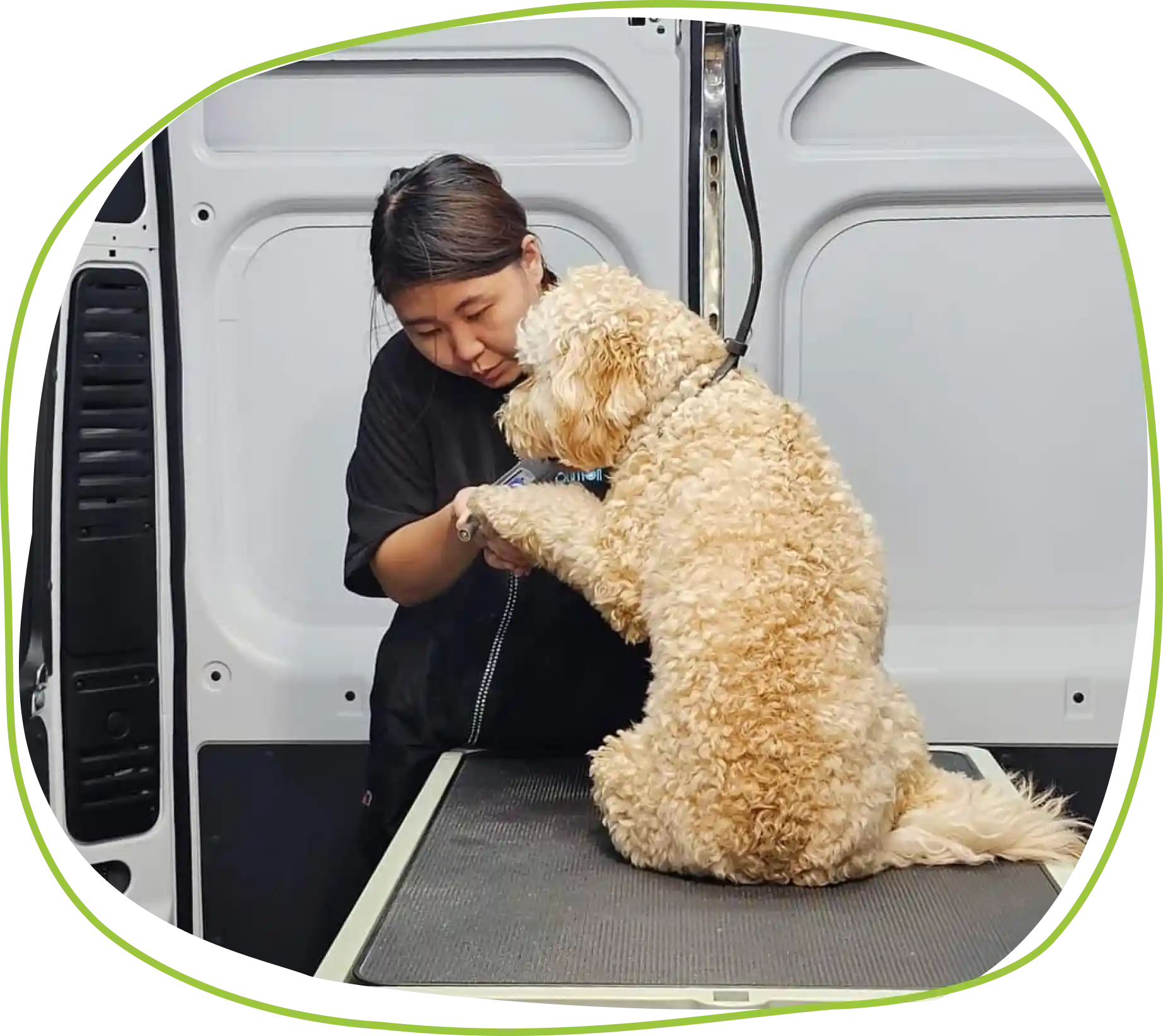 Mobile Nail Trims Services in North Richland Hills, TX | Pet Evolution