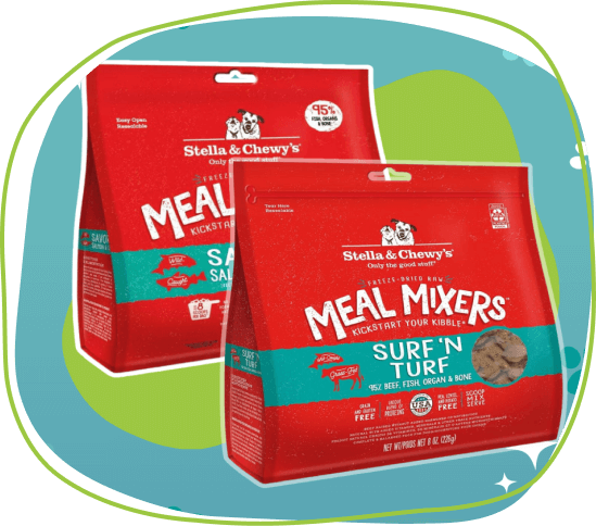 dog-meal