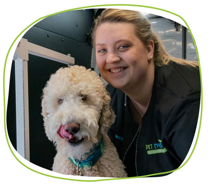 Mobile Nail Trims Services in Frisco, TX | Pet Evolution